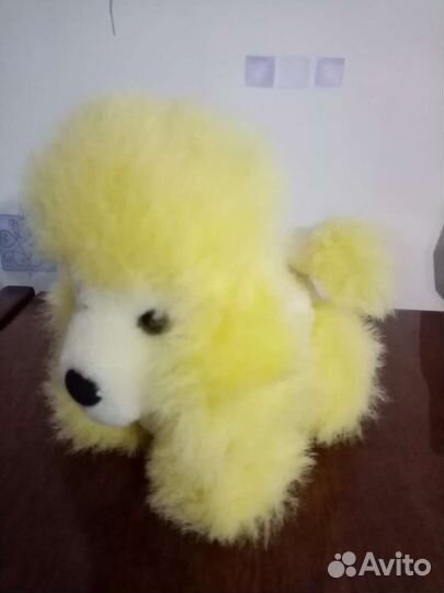 Собачки разных пород и другие игрушки