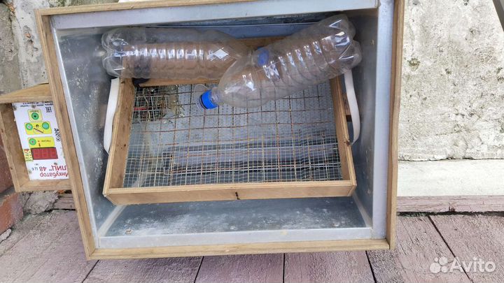 Инкубатор для яиц