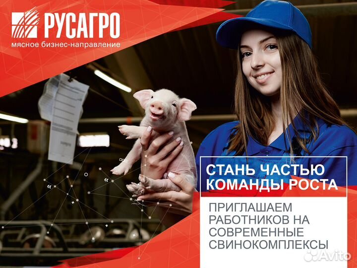 Оператор свиноводческого комплекса