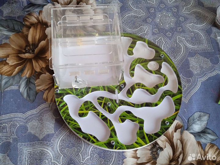 Формикарий