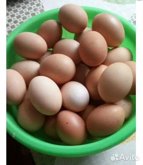 Излишки картофеля домашнего