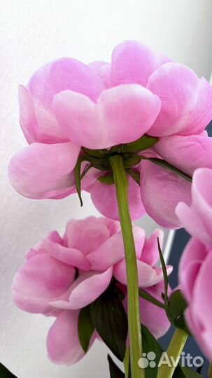 Искусственные цветы пионы