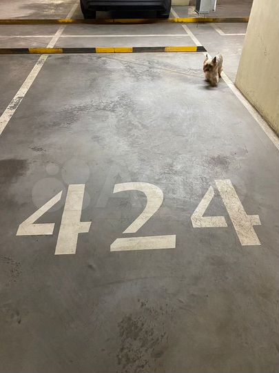 Машиноместо