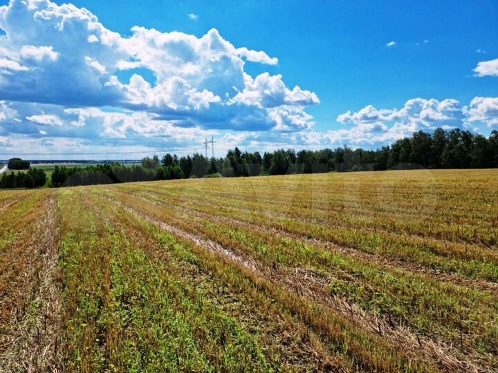 Участок 33 га (СНТ, ДНП)