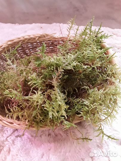 Наборы для орхидей, варённая кора