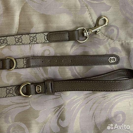 Ошейник для собак поводок gucci