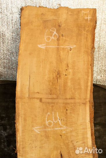 Слэб тополя 302*64*7