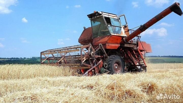 Уборка урожая аренда комбайна