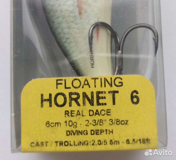 Salmo hornet 6F-RD/BT