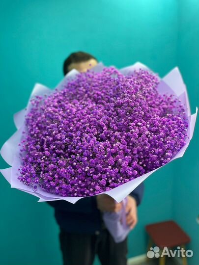 Гипсофилы / Цветы