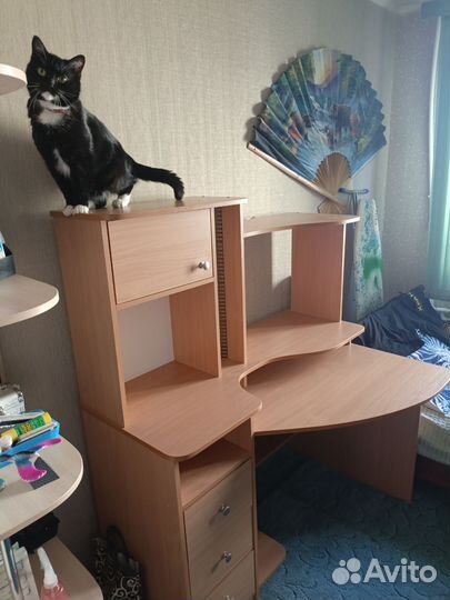 Компьютерный стол