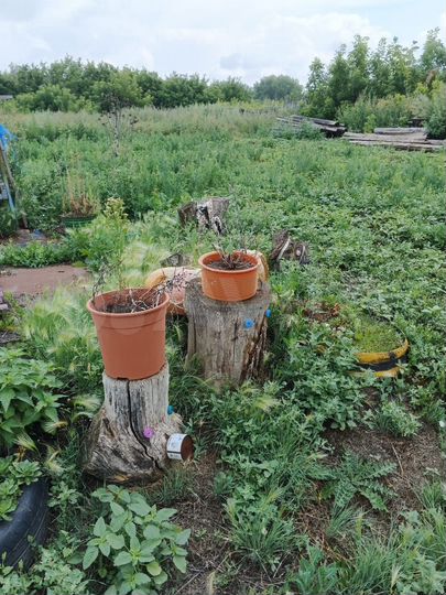 Дом 67 м² на участке 35 сот.