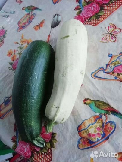 Кабачки свежие домашние, патисоны