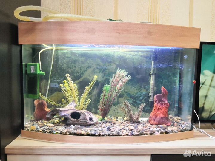 Аквариум