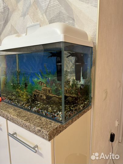 Аквариум с рыбками