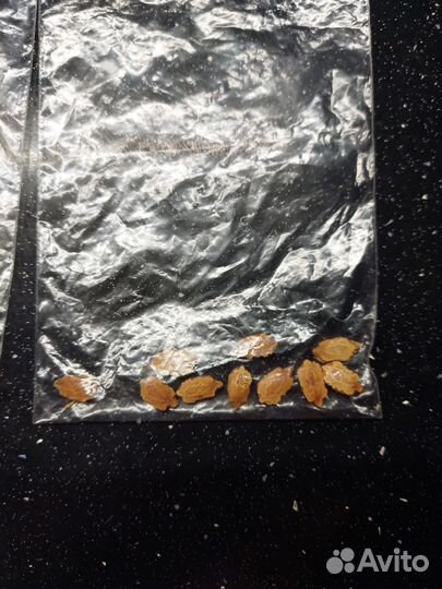 Семена момордики