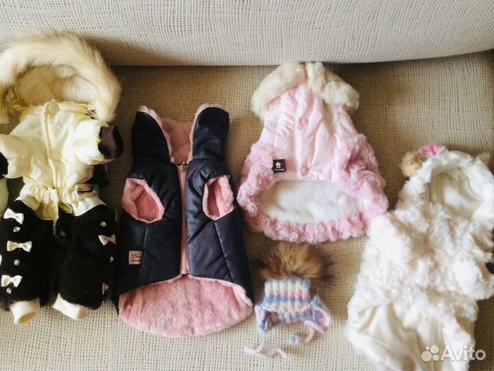 Зимняя одежда для собак XS Limargy, Boris house