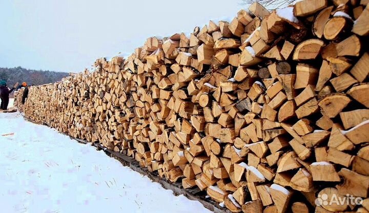Дрова Осиновые
