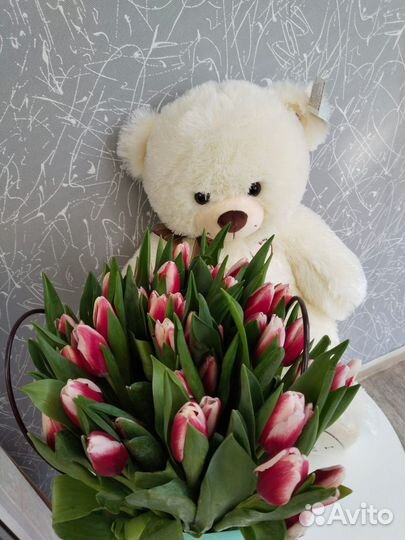 Тюльпаны крупный бутон