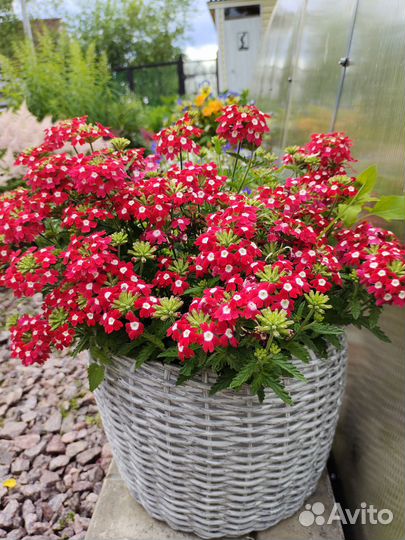 Кашпо для цветов из искусственного ротанга