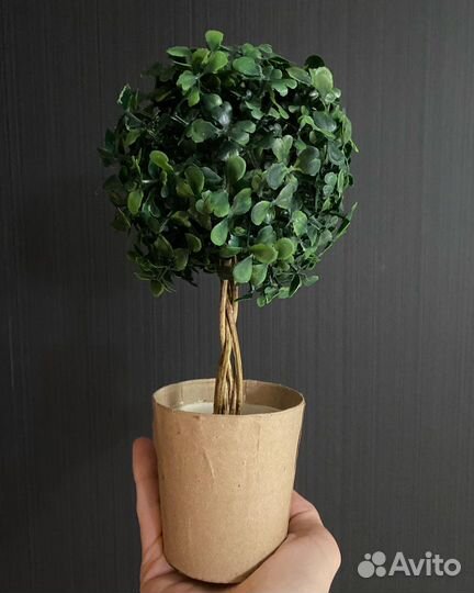 Искусственное дерево самшит