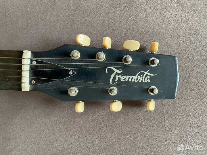 Гитара trembita