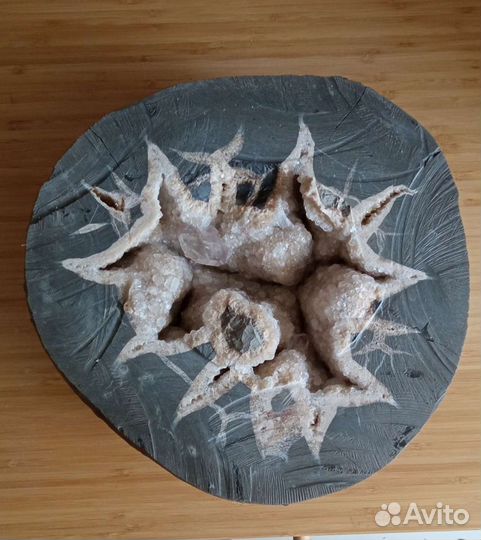 Друза септария