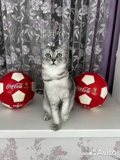 Футбольный мяч Кока-кола