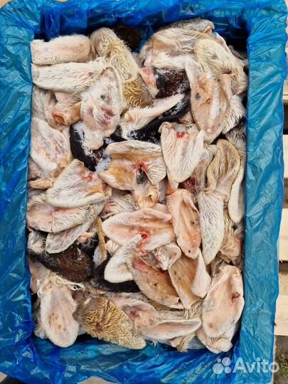 Мясо для собак, натуральное питание, уши бараньи