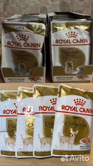 Мокрый корм для собак royal canin