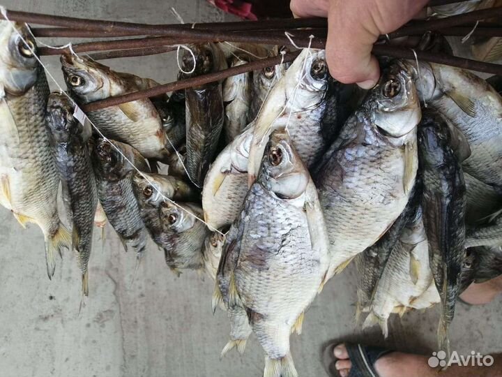 Азовская тарань