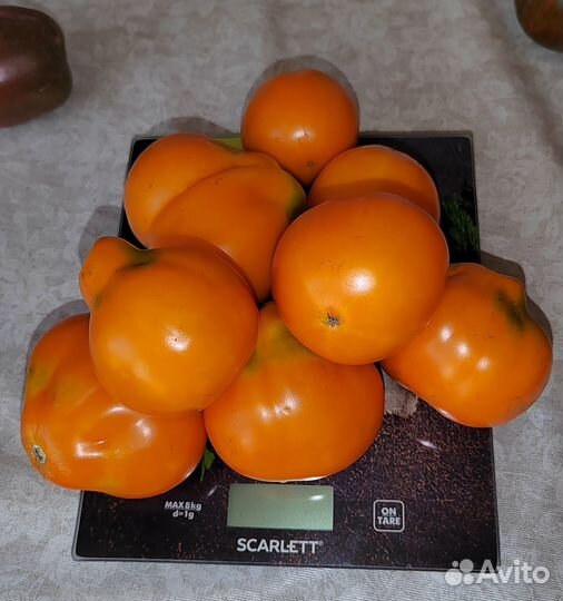 Помидоры, огурцы домашние