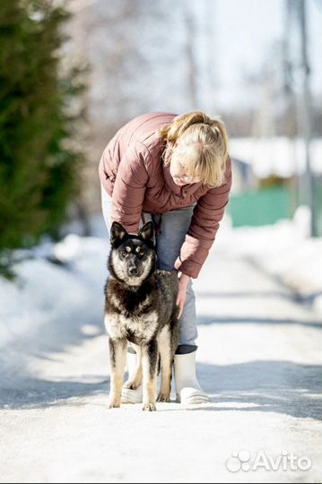 Щенок девочка в добрые руки
