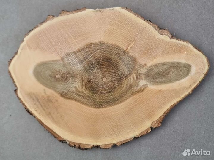 Спилы дерева