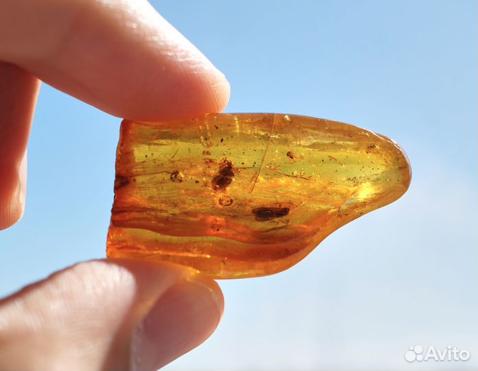 Натуральный балтийский янтарь с включением ручейни