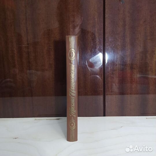 Михаил Пляцковский - Праздник жизни