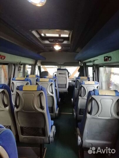 Пассажирские перевозки автобусы 17 и два 19 мест