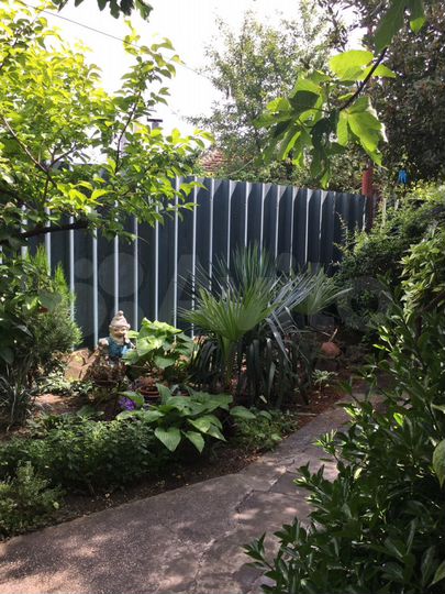 Комната 20 м² в 4-к., 1/2 эт.