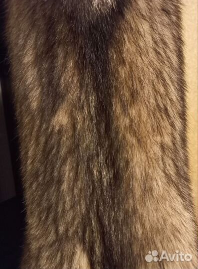 Шкура волка