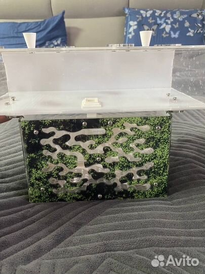 Муравьиная ферма без муравьев antplanet формикарий