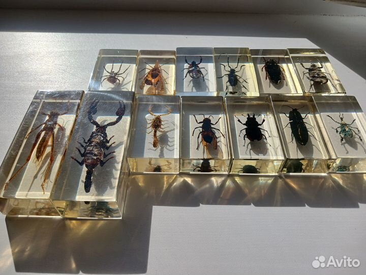 Журнал настоящие насекомые и их знакомые Deagosti