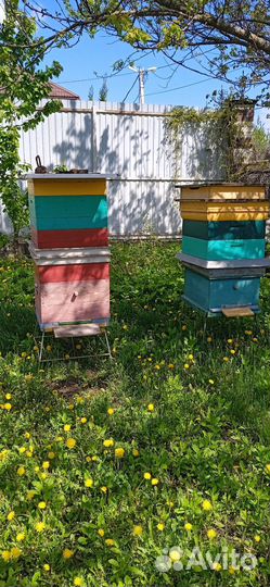 Улей для пчел