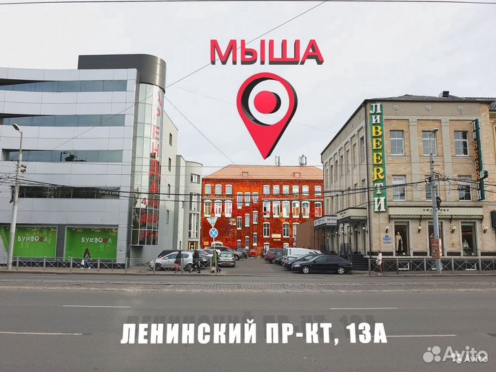 Жесткие диски 2.5