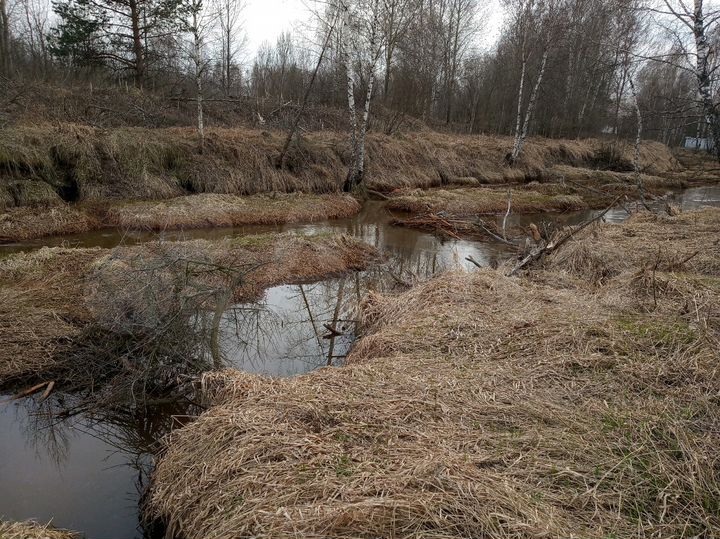 Участок 10,5 сот. (СНТ, ДНП)