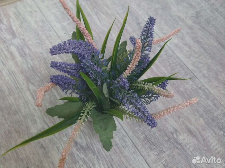 Декоративная лаванда