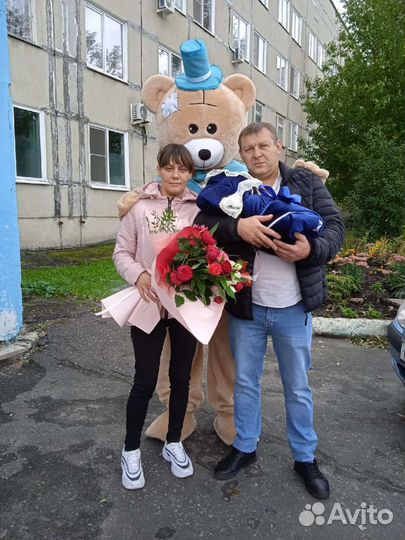 Медведь поздравление