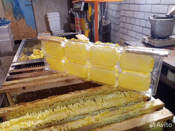 Продаётся мед с собственной пасеки