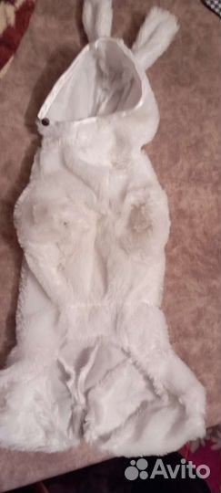 Комбинезон для маленькой собачки
