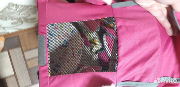 Детские санки коляска