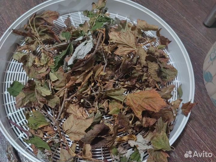 Ветки для грызунов